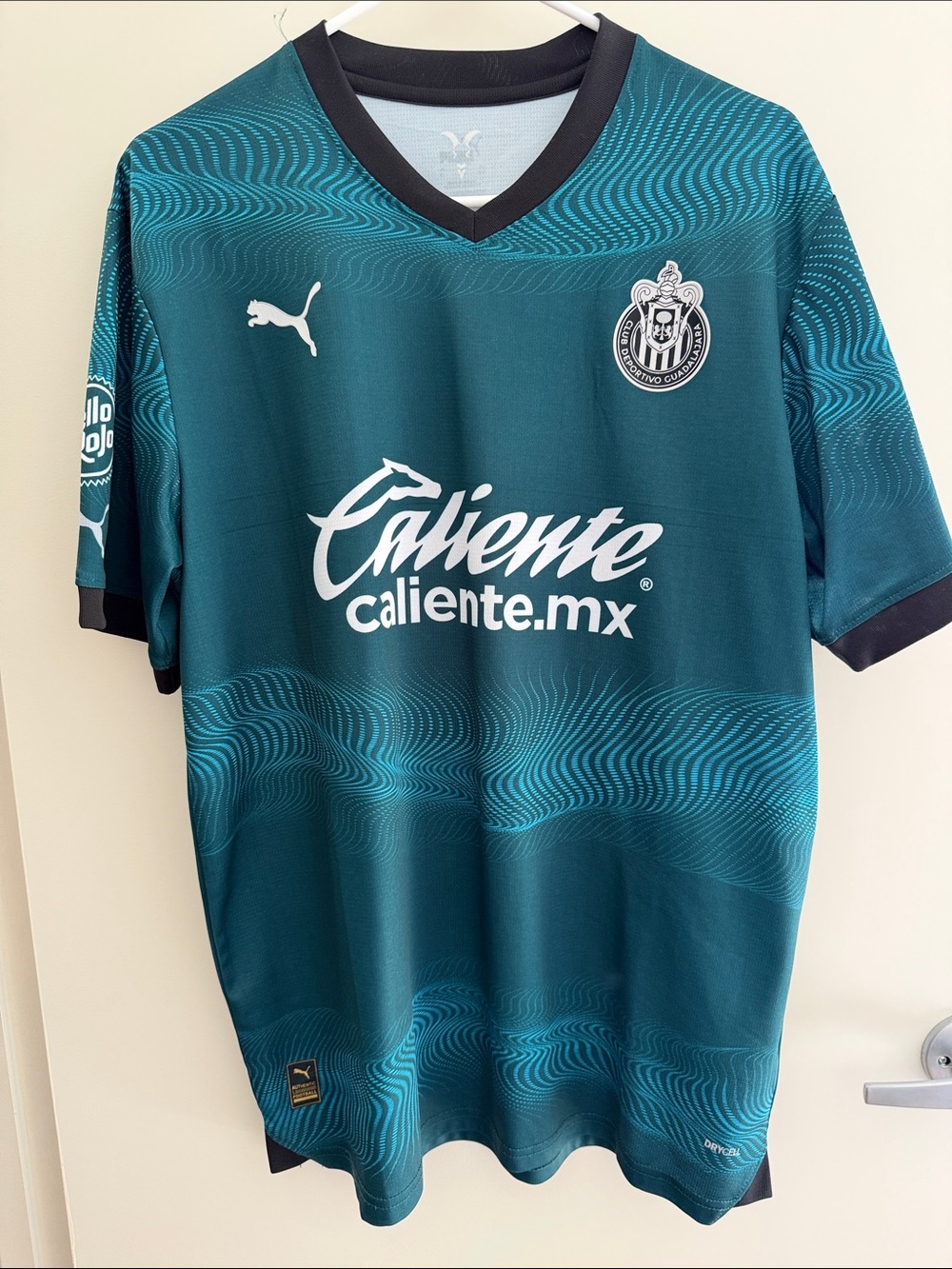 Puma Chivas Soccer Jersey
